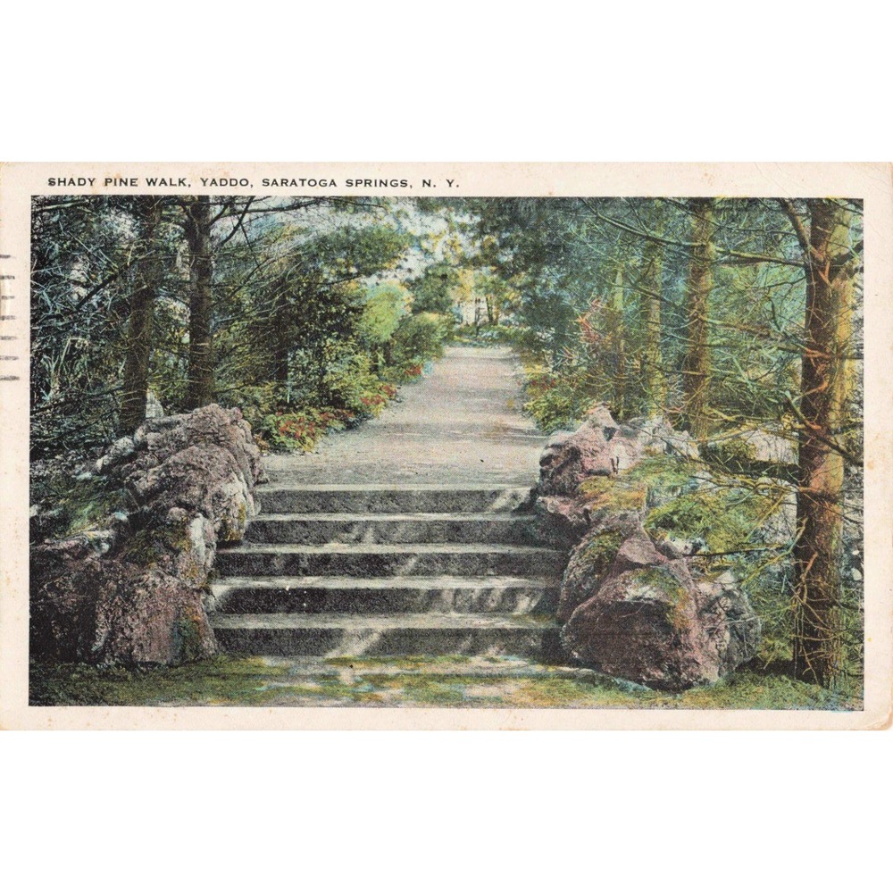 Vintage Postcard Shady Pine Walk Yaddo Saratoga Springs NY 1927 Postmark VG